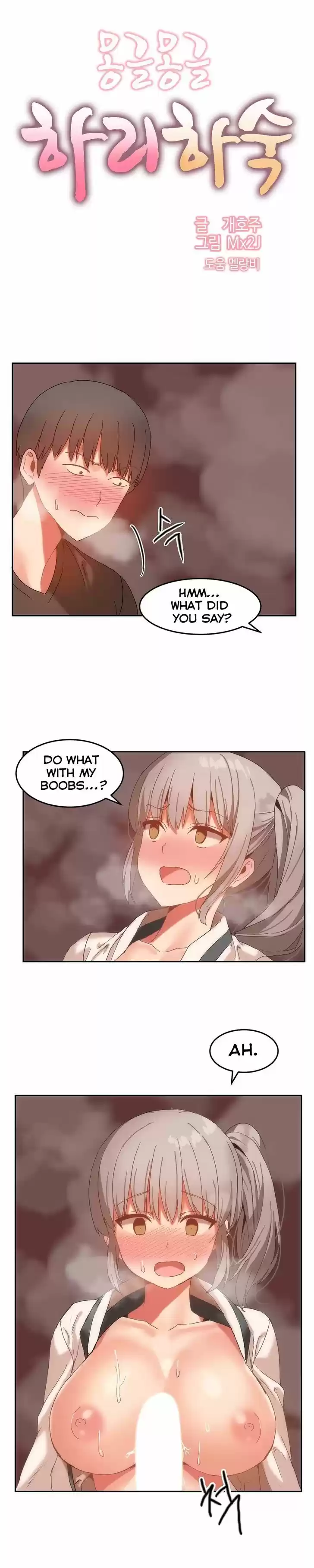 Hahri's Lumpy Boardhouse 15