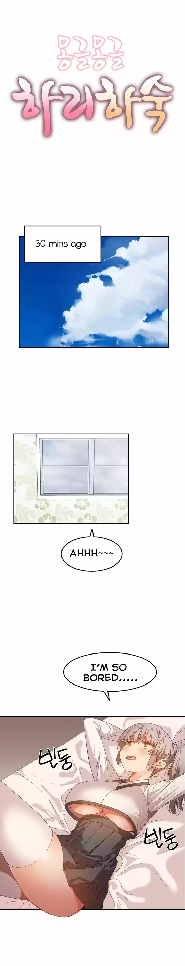 Hahri's Lumpy Boardhouse 20