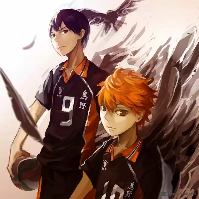 Haikyu!! 313