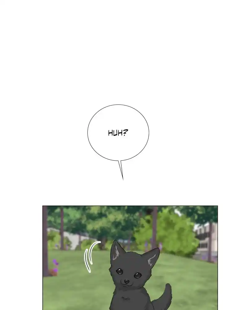 Half Ghost Chapter 123