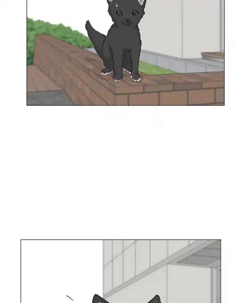 Half Ghost Chapter 93