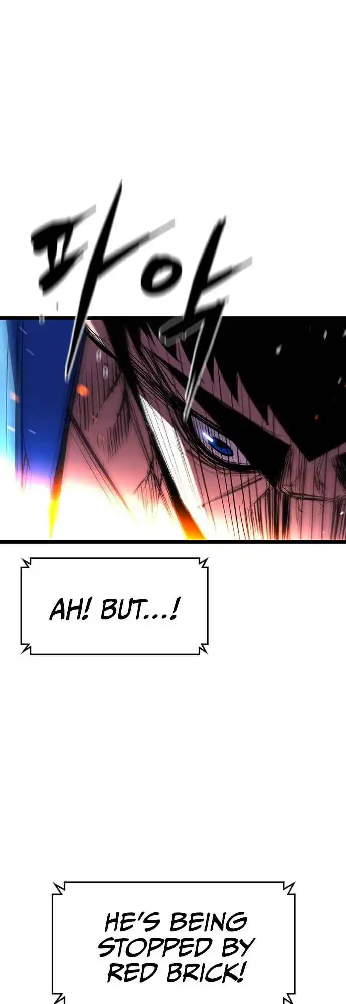 Hallym Gymnasium 100