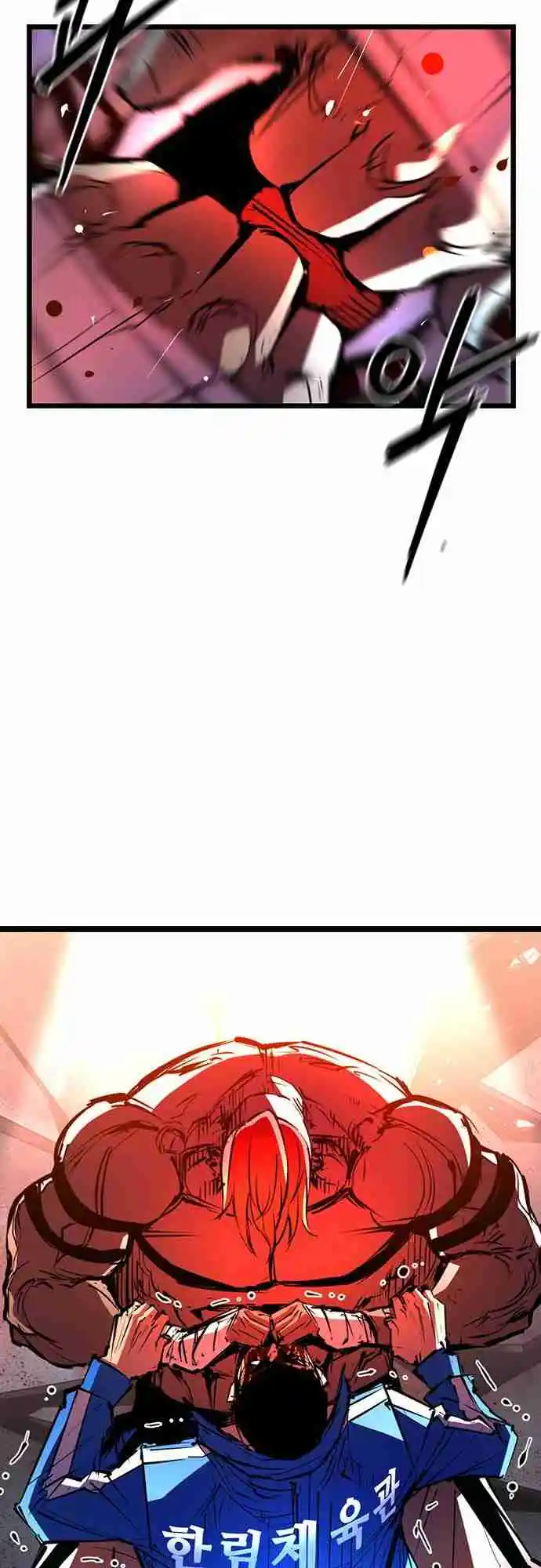 Hallym Gymnasium 102