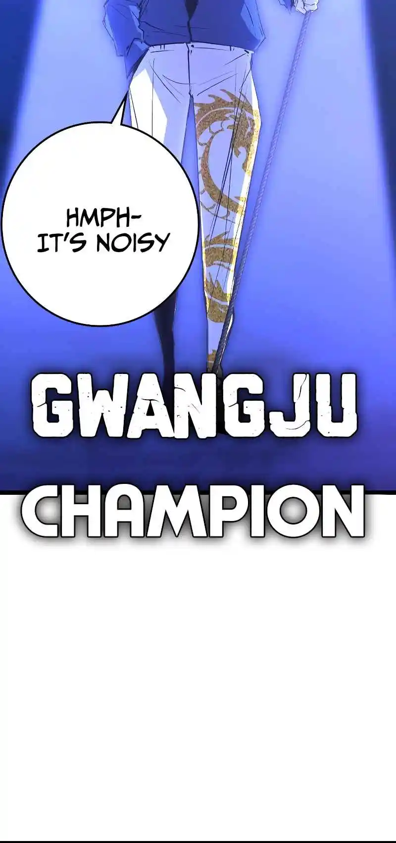 Hallym Gymnasium 138