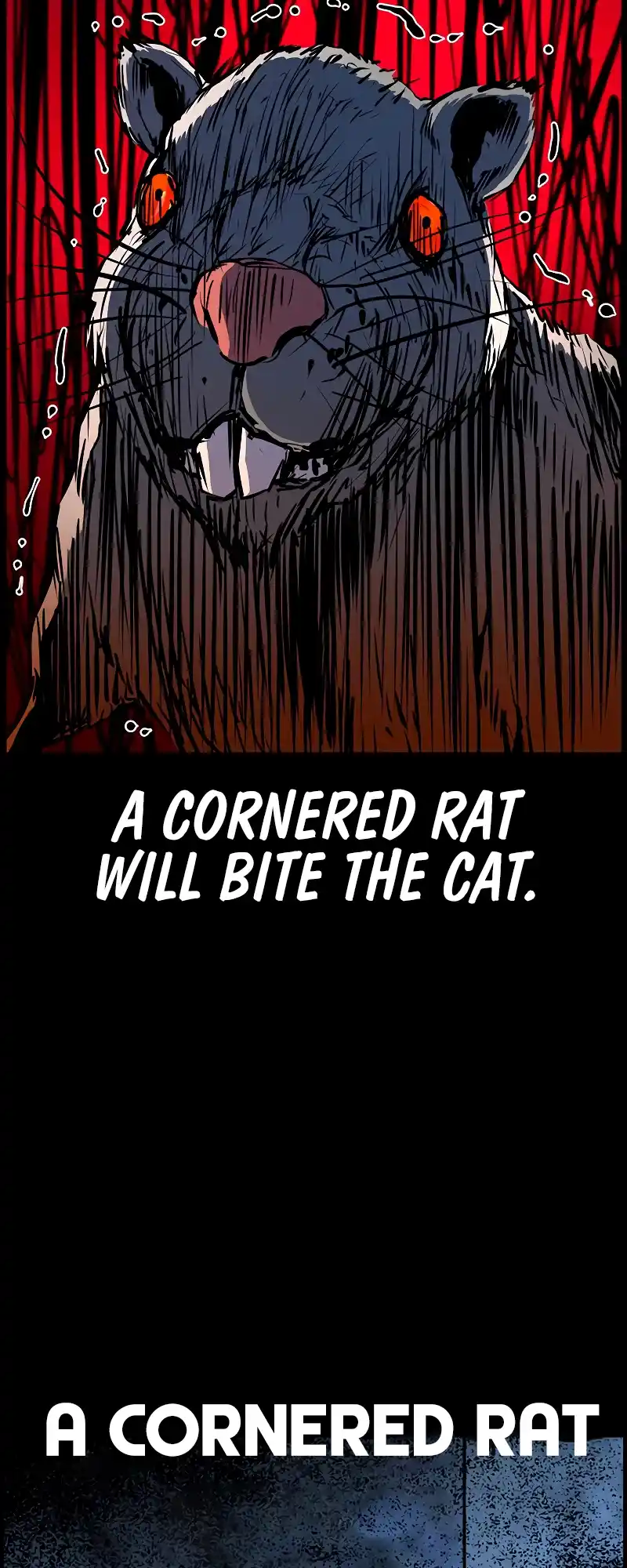 Hallym Gymnasium Chapter 115