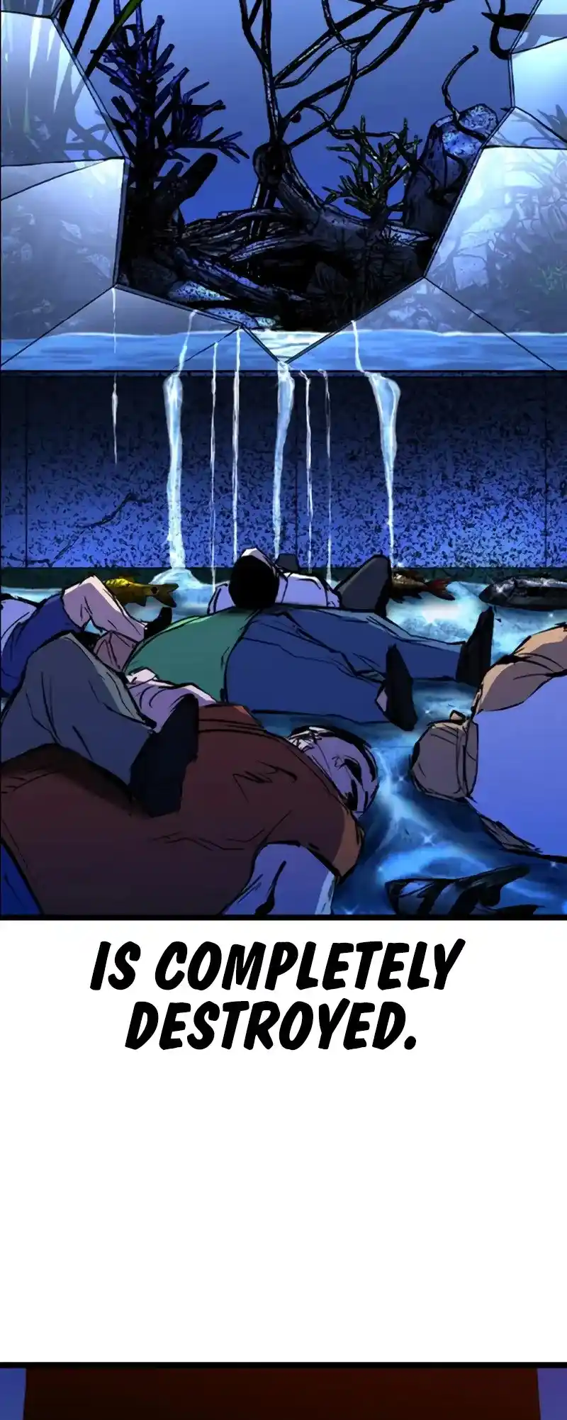 Hallym Gymnasium Chapter 208