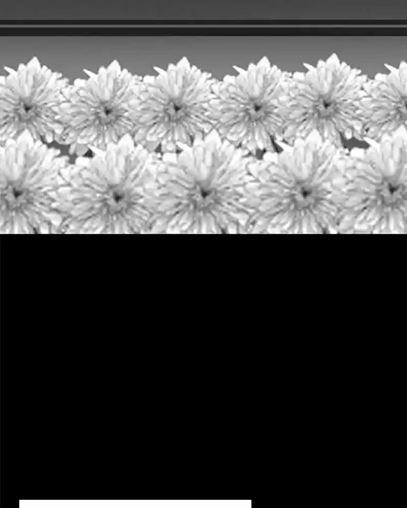 Hallym Gymnasium Chapter 39