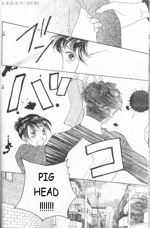 Hana Yori Dango Vol. 33 Ch. 221