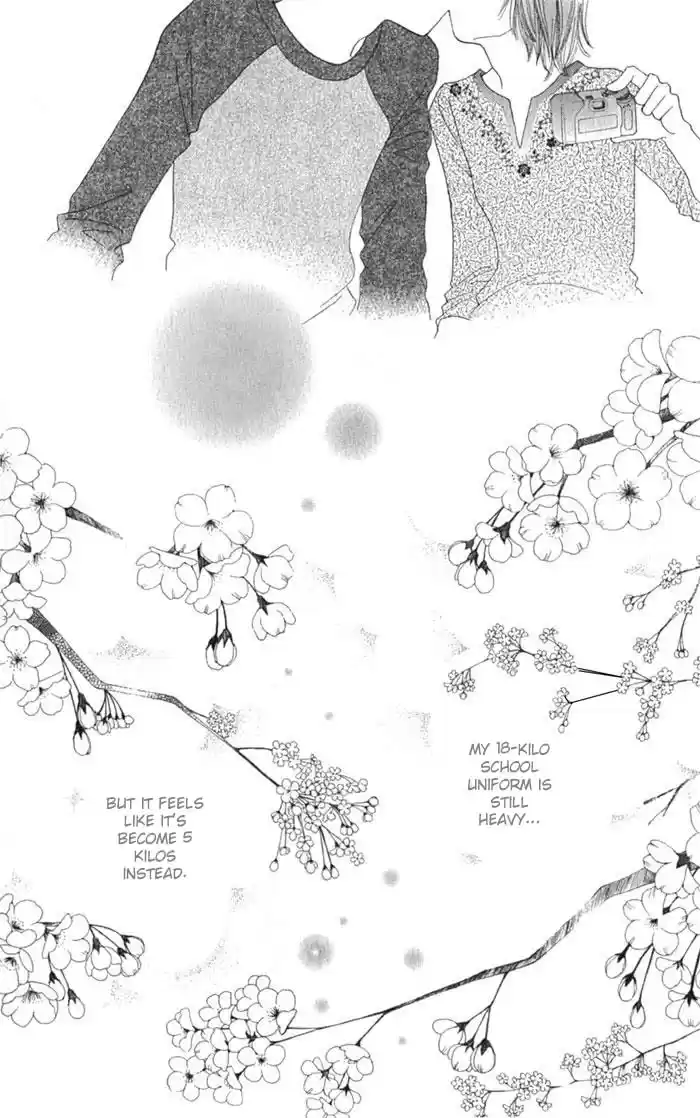 Hana Yori Dango Vol. 36 Ch. 238