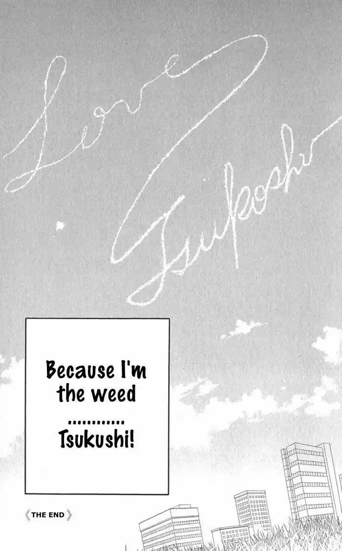 Hana Yori Dango Vol. 36 Ch. 241