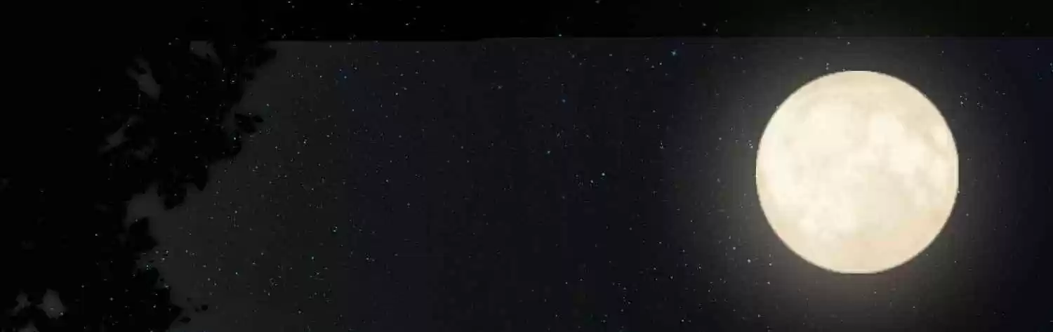 Handling The Demoness And Saintess Chapter 3: Freeing From... Spells