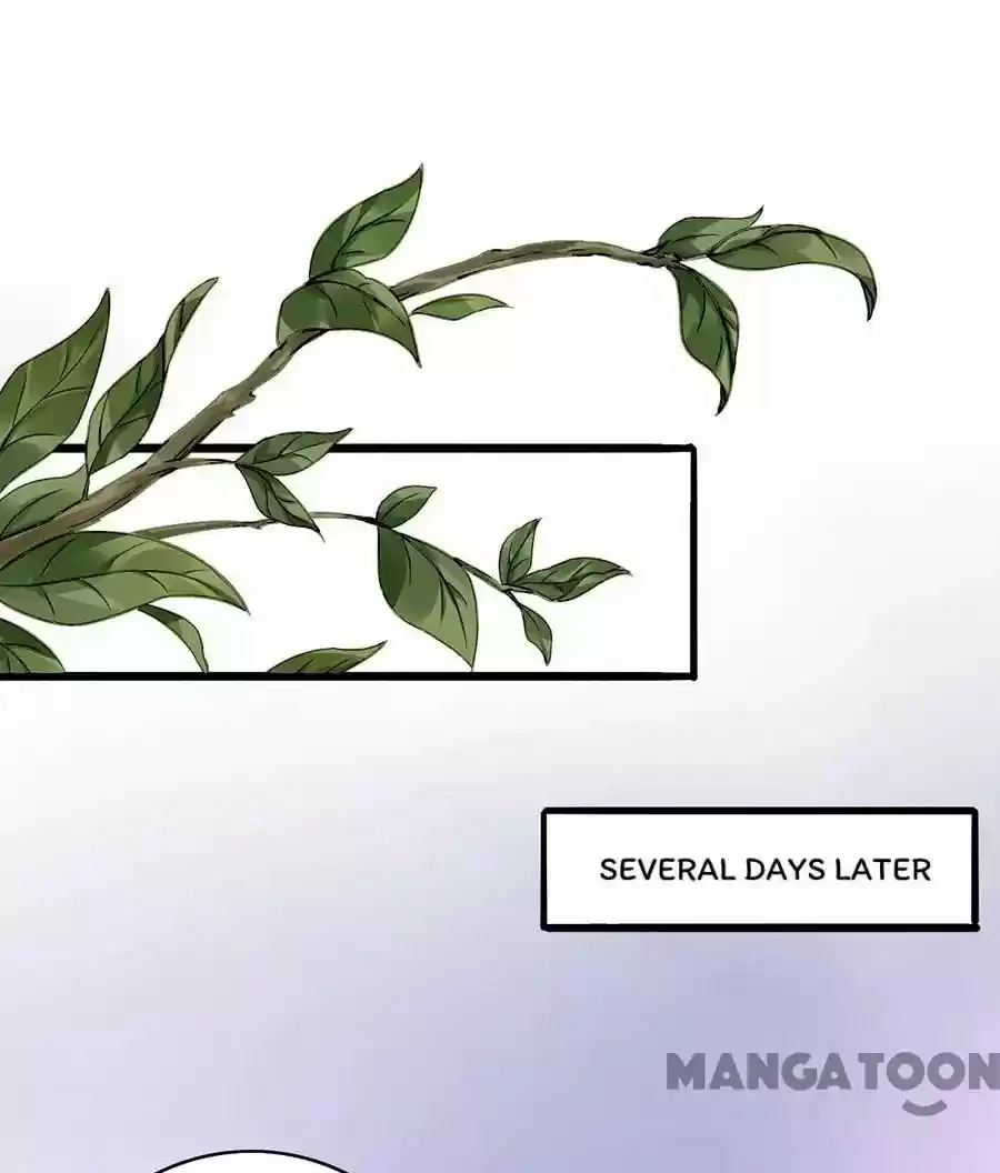 Haomen Qifu de Chuntian Chapter 71