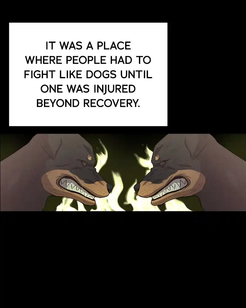 Harmonia Chapter 101