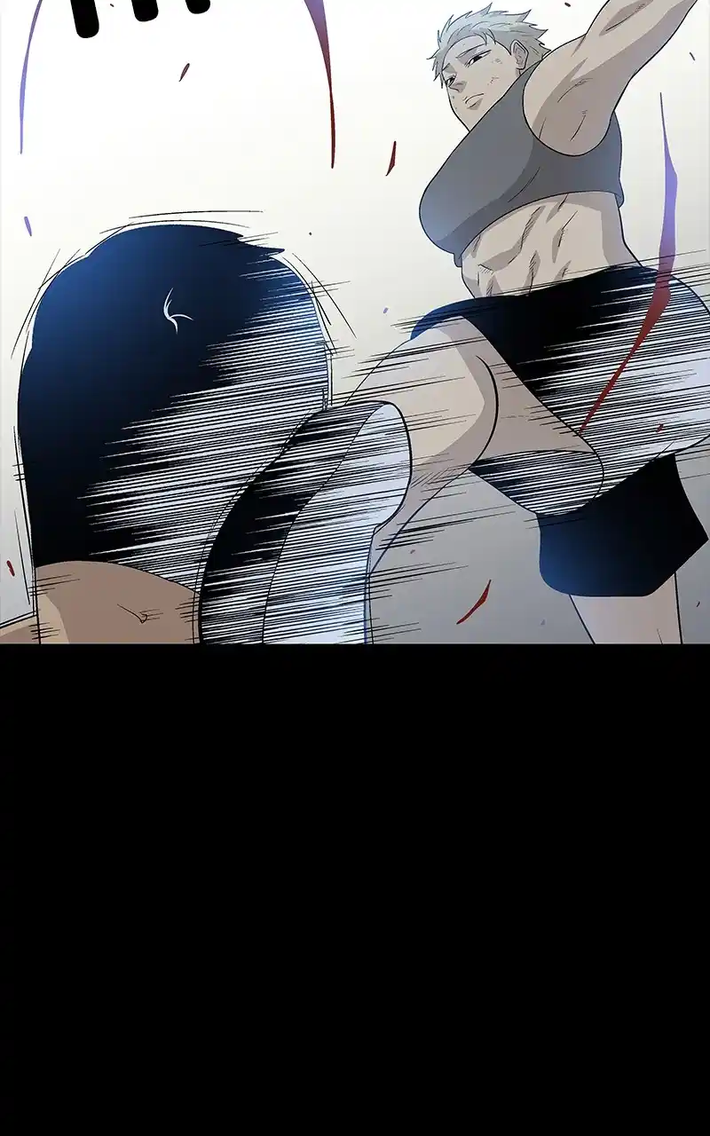 Harmonia Chapter 102