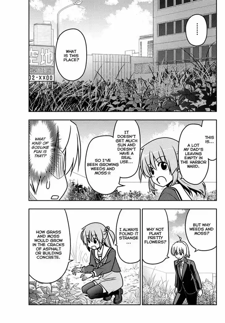 Hayate no Gotoku! 541