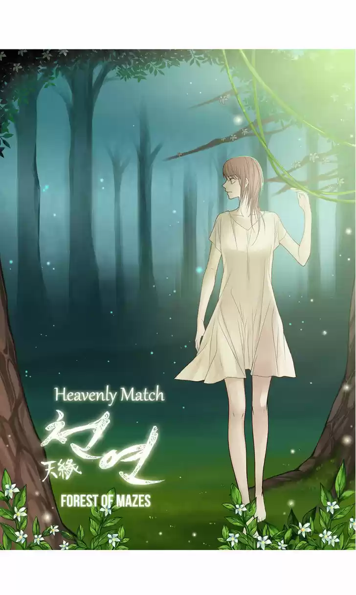 Heavenly Match 9