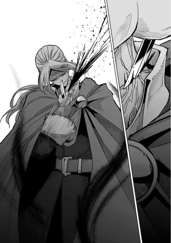 Helck 48