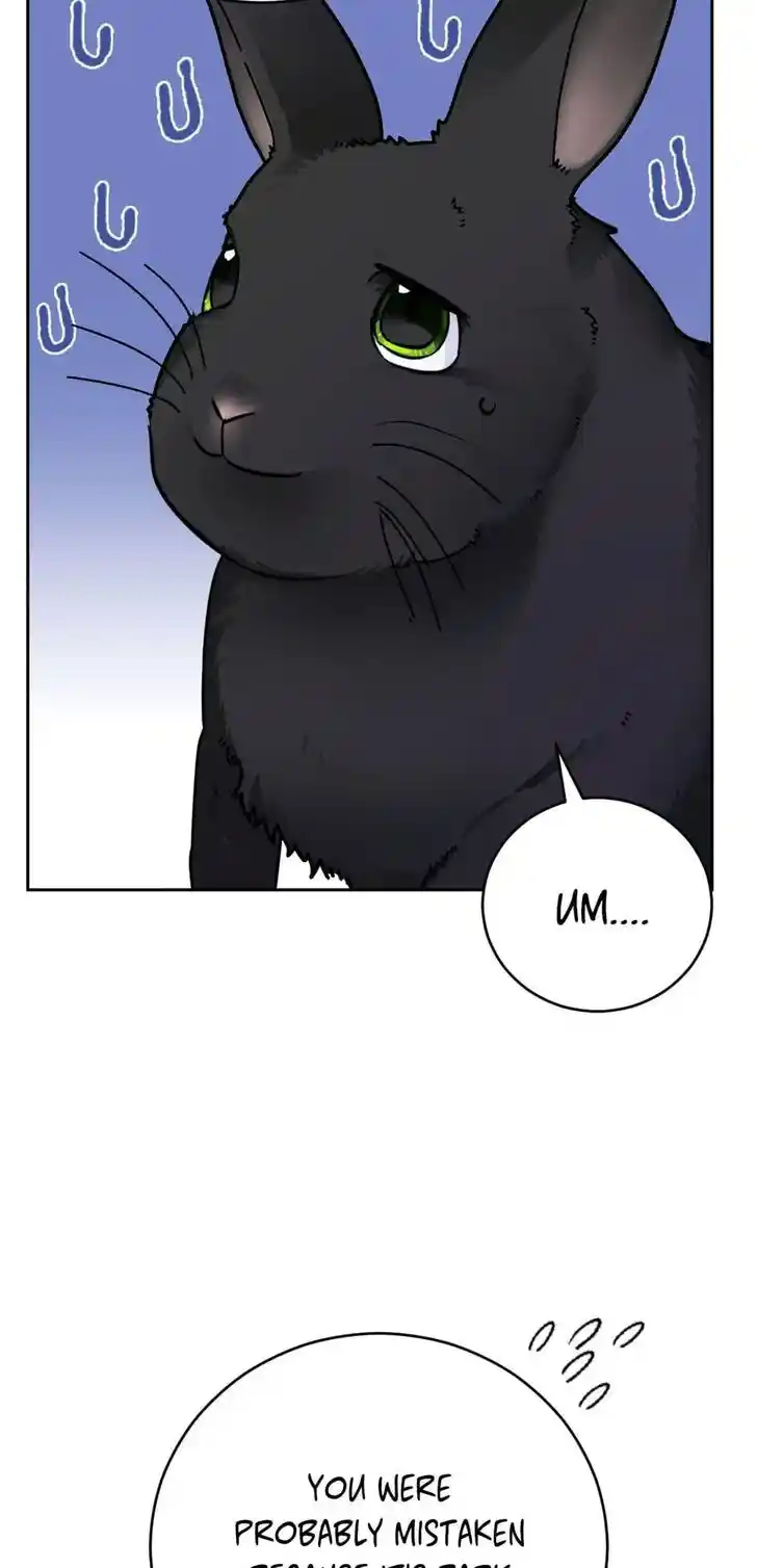 Her Ladyship Objects to this Marriage! Ch.037