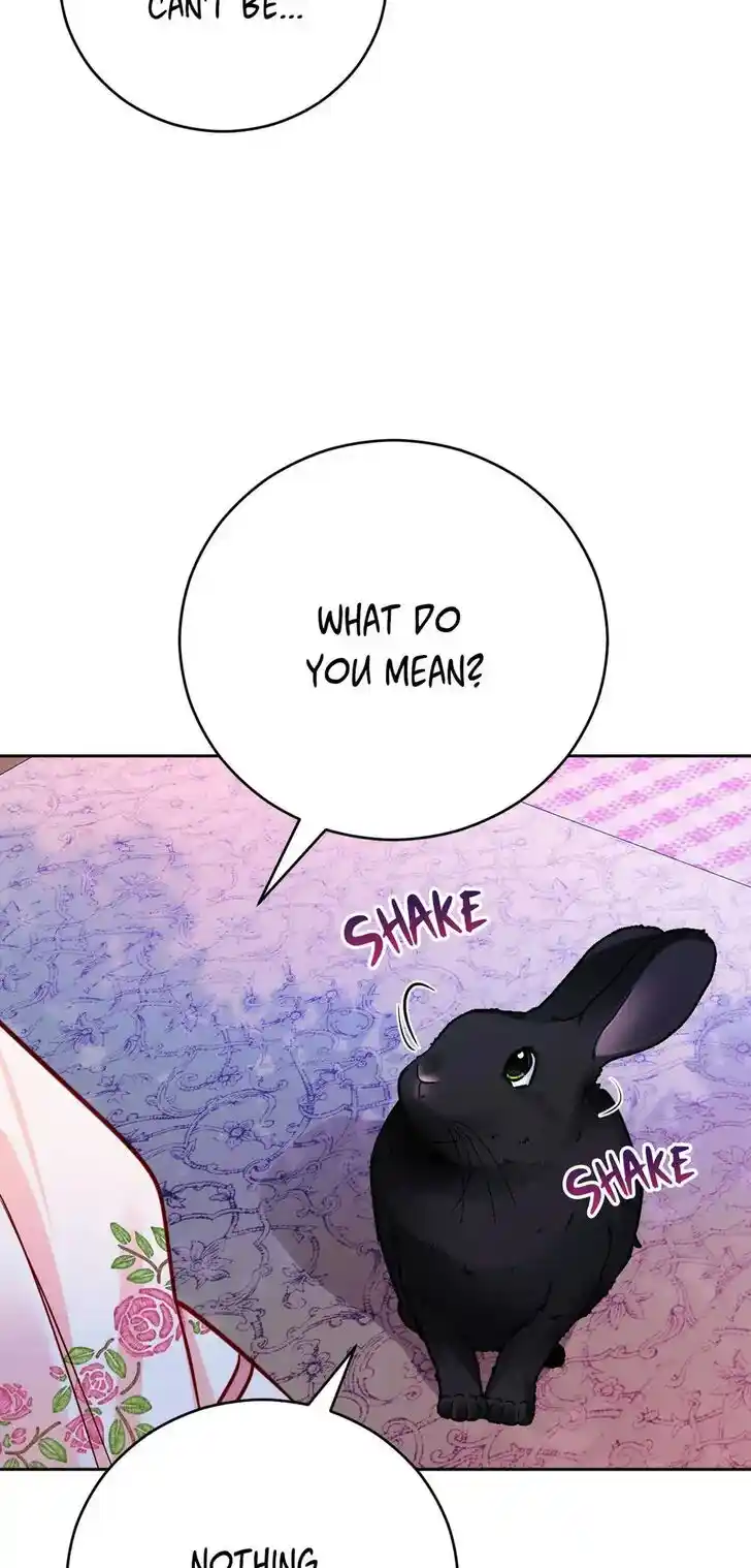 Her Ladyship Objects to this Marriage! Ch.037