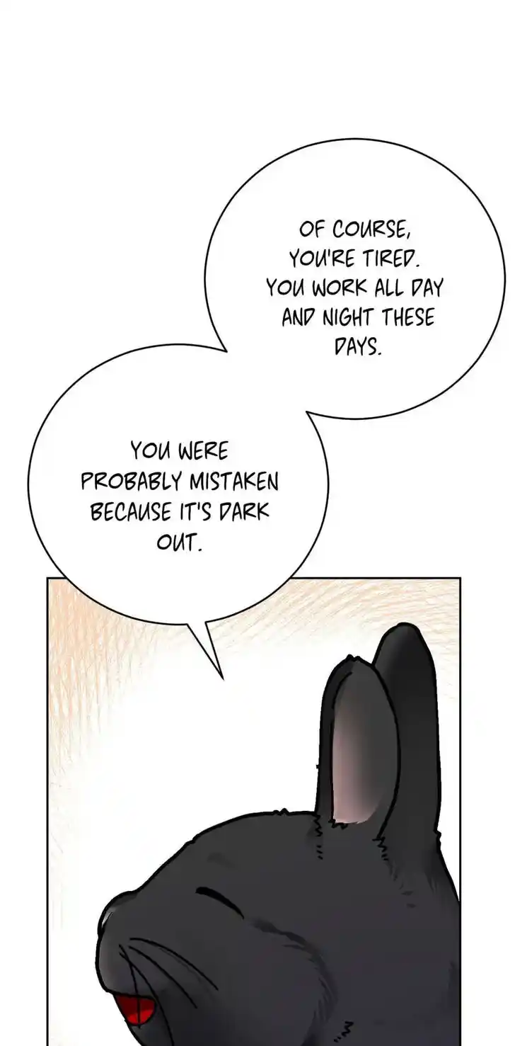 Her Ladyship Objects to this Marriage! Ch.037