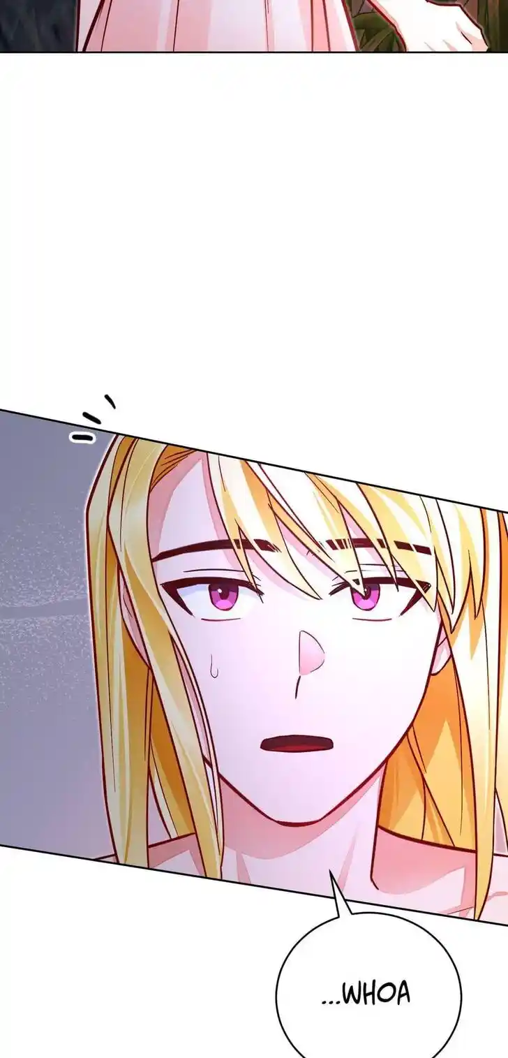 Her Ladyship Objects to this Marriage! Ch.039