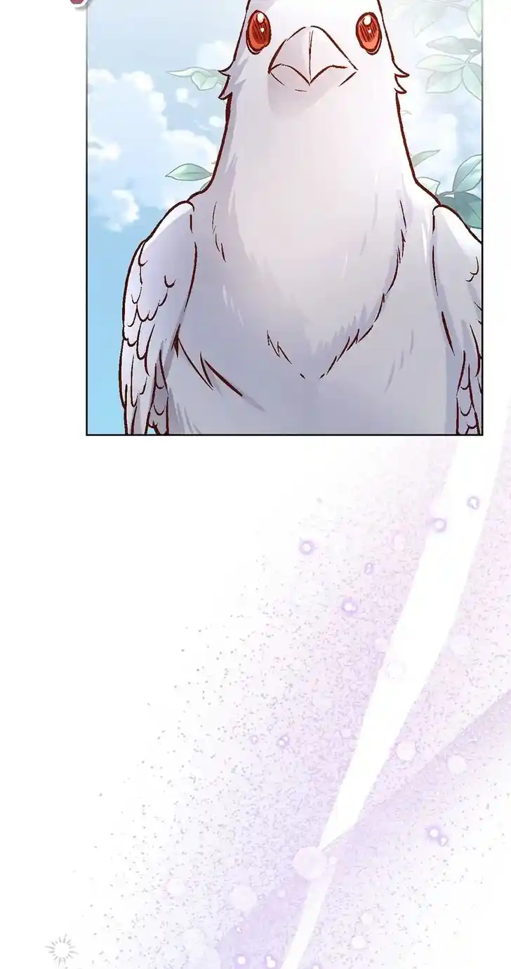 Her Ladyship Objects to this Marriage! Ch.074