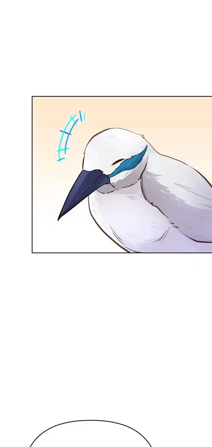 Her Ladyship Objects to this Marriage! Ch.079