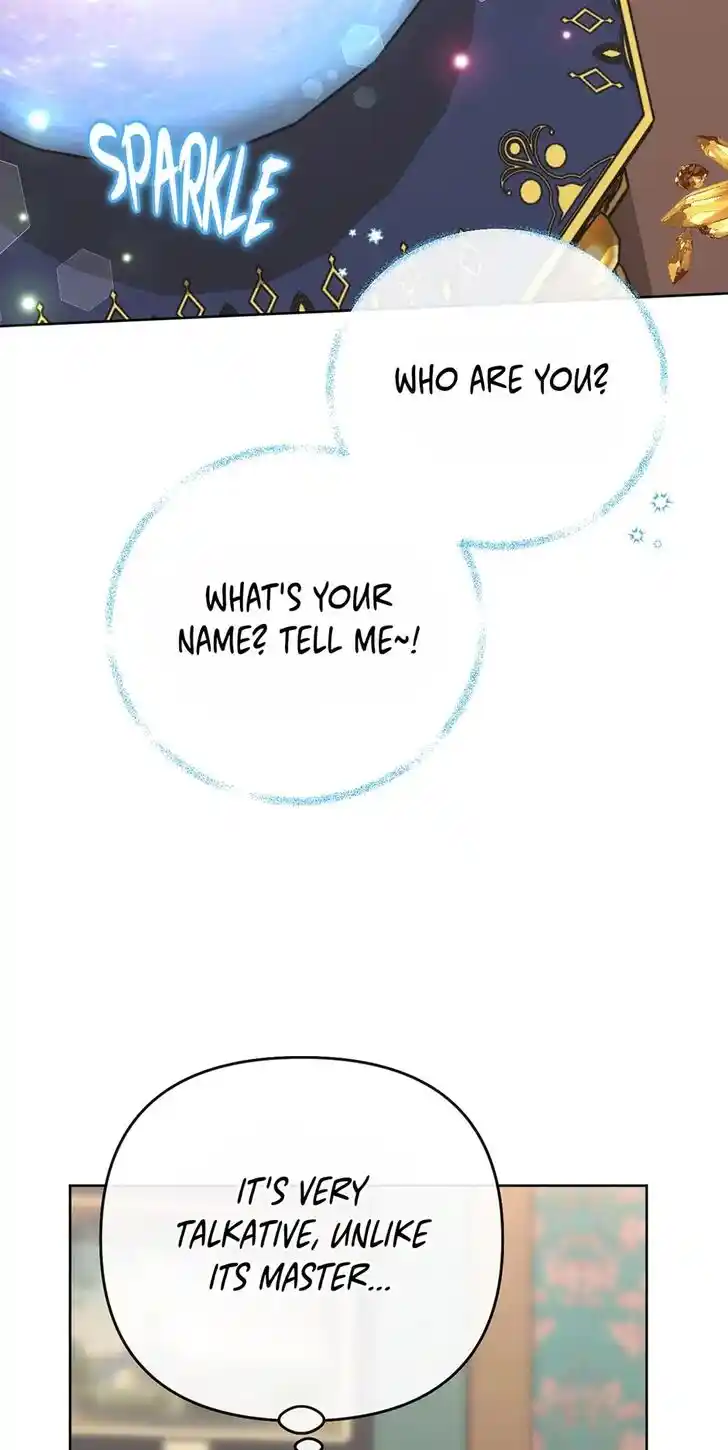 Her Ladyship Objects to this Marriage! Ch.079