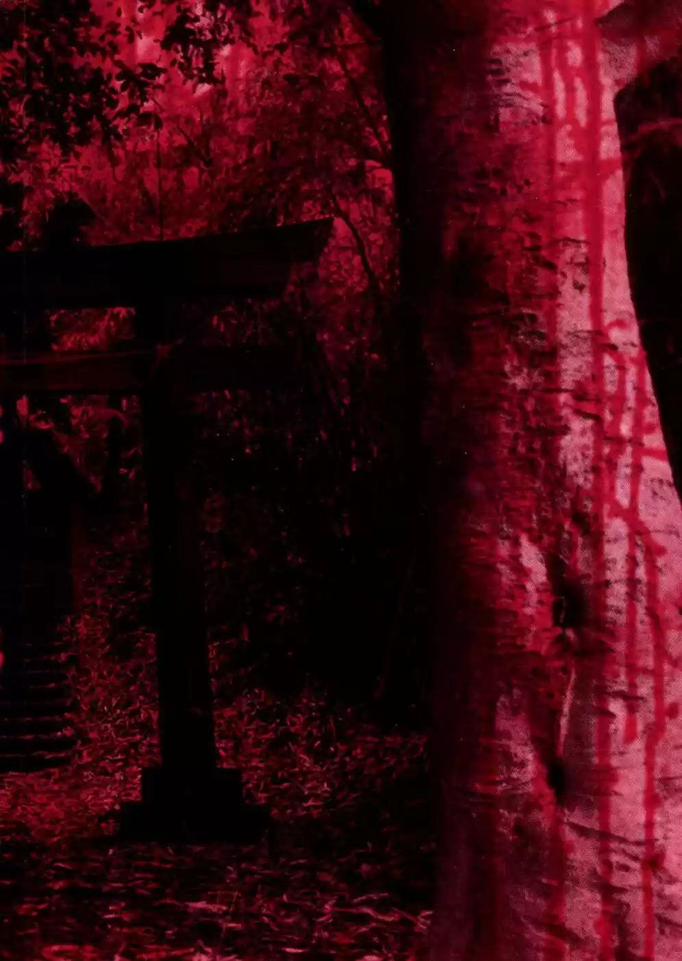 Higanjima Vol. 15 Ch. 140 Stupid Laugh