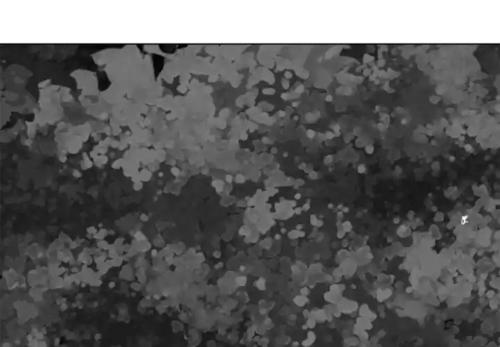 High School Devil Ch.335