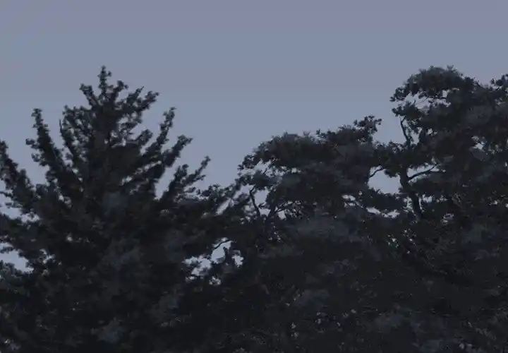 High School Devil Ch.343