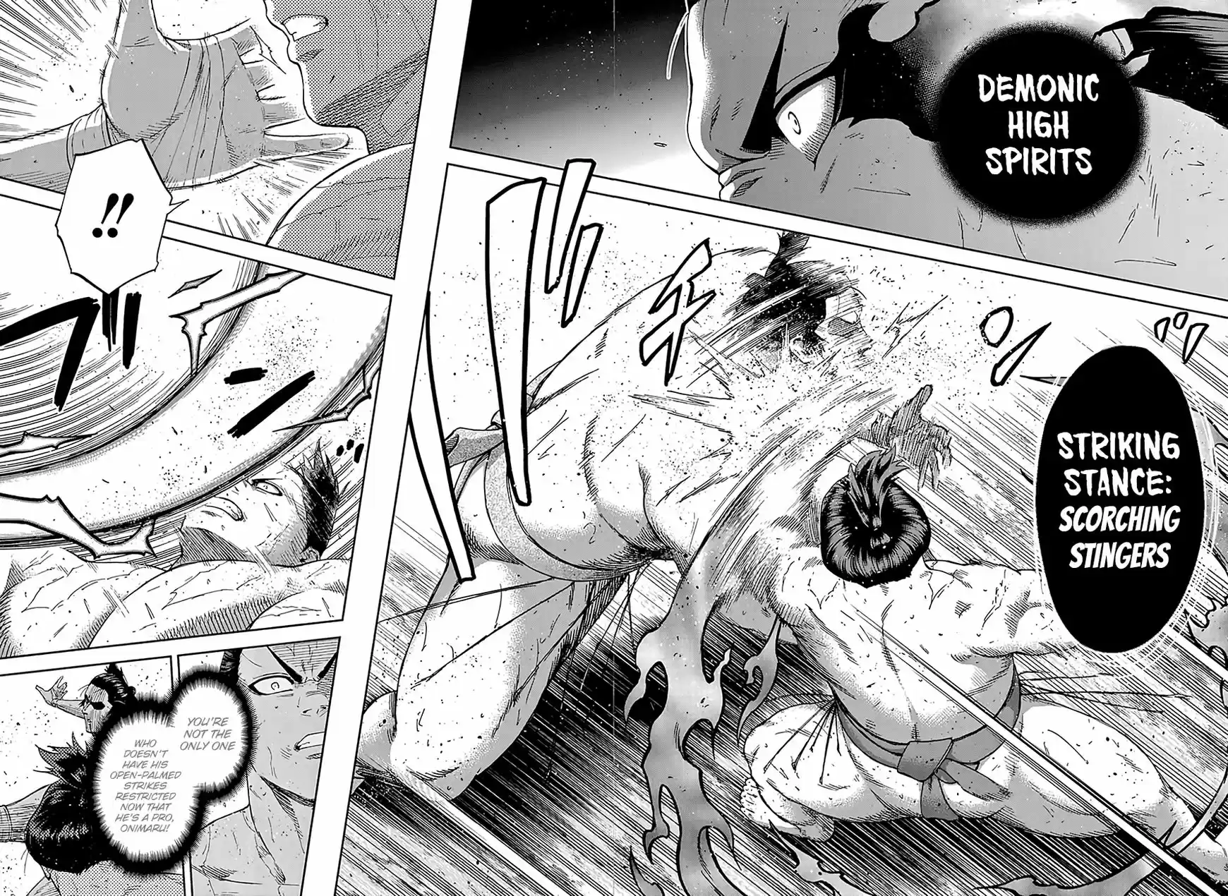 Hinomaru Zumou 193