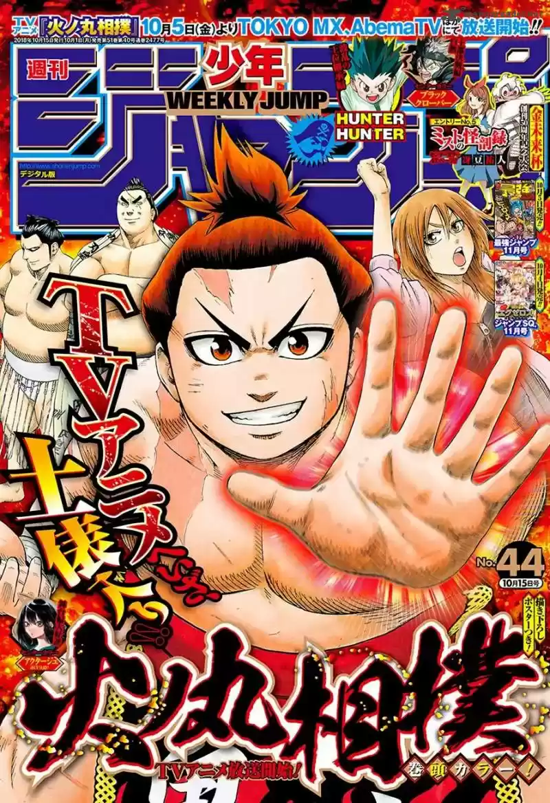Hinomaru Zumou 211