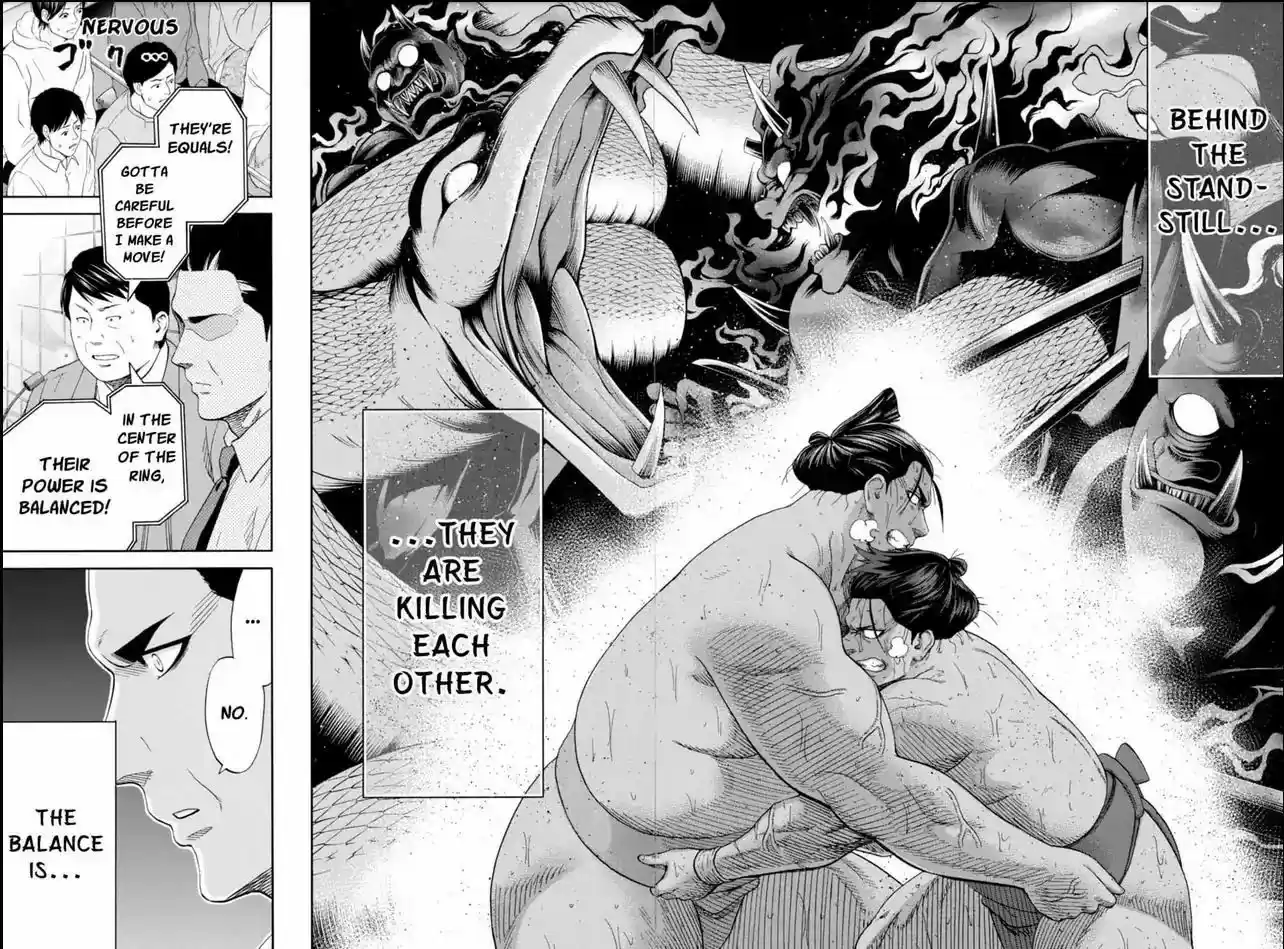 Hinomaru Zumou 223