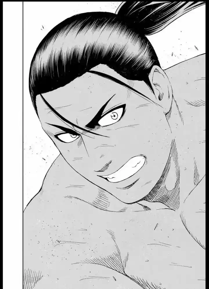 Hinomaru Zumou 223
