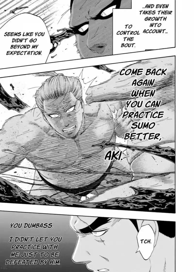 Hinomaru Zumou 226