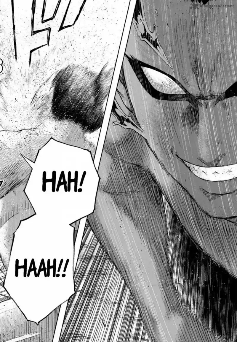 Hinomaru Zumou 230