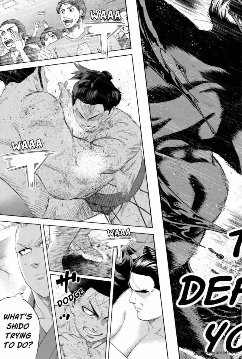 Hinomaru Zumou 231