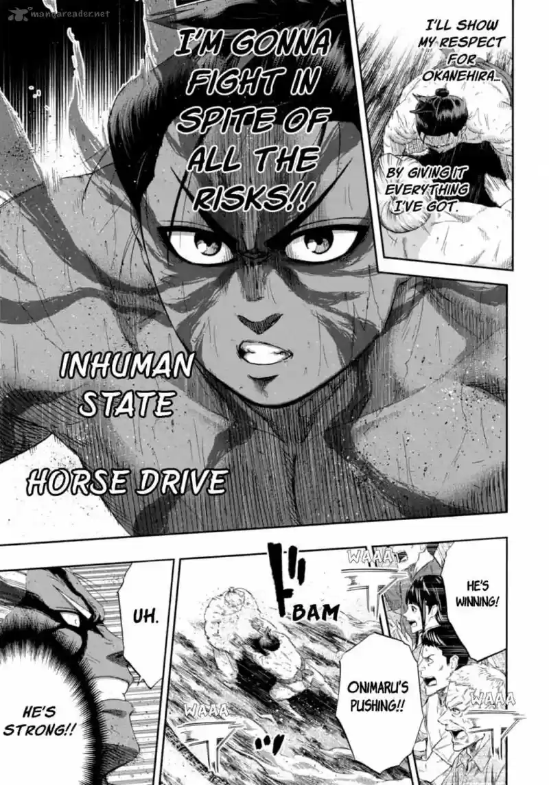 Hinomaru Zumou 234