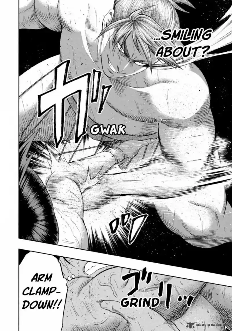 Hinomaru Zumou 238