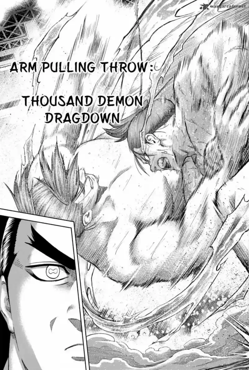 Hinomaru Zumou 238