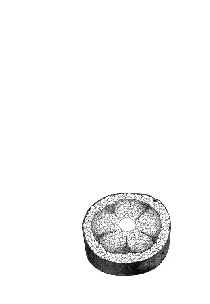 Hisone to Masotan Ch.324