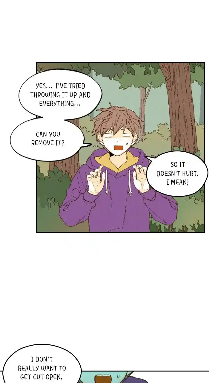 How to Become a Dragon Ch.181