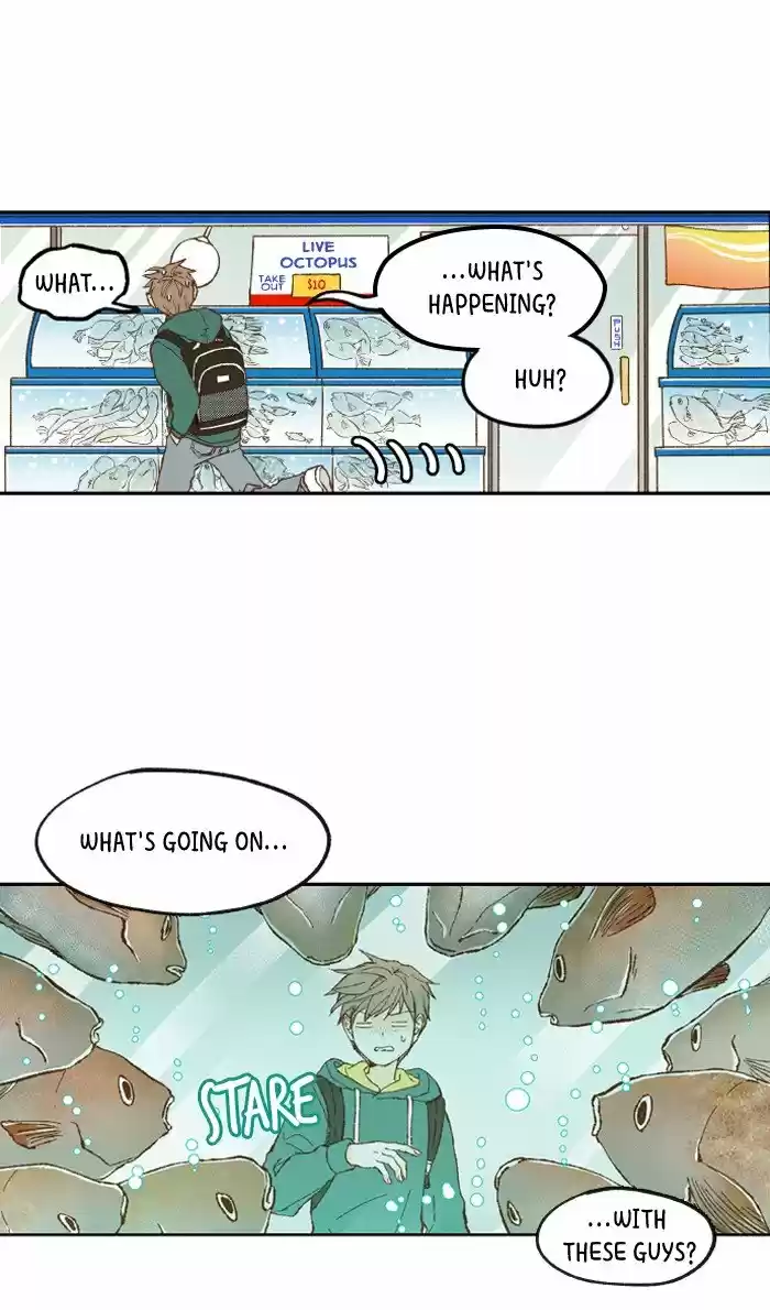 How To Become A Dragon Chapter 1