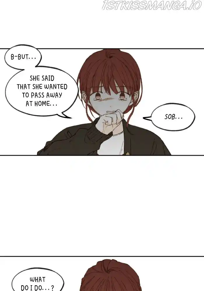 How To Become A Dragon Chapter 138