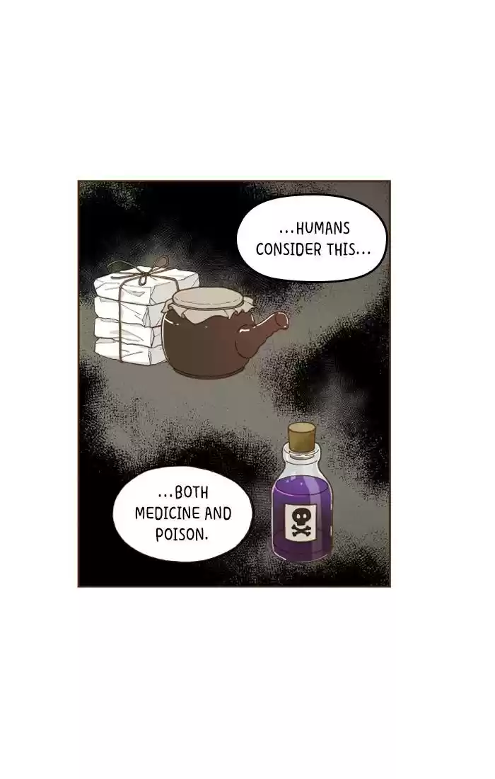 How To Become A Dragon Chapter 49