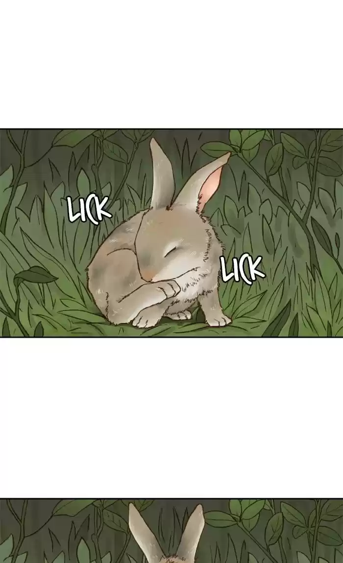 How To Become A Dragon Chapter 65