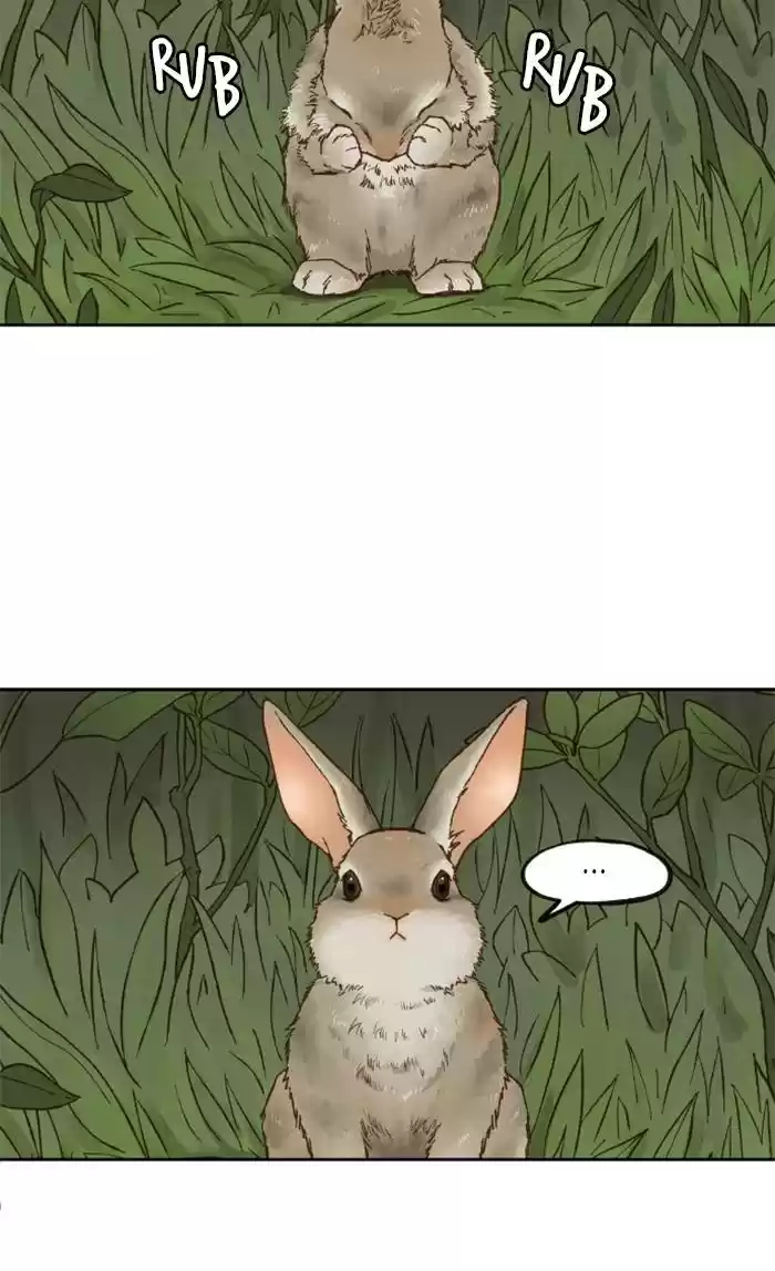 How To Become A Dragon Chapter 65