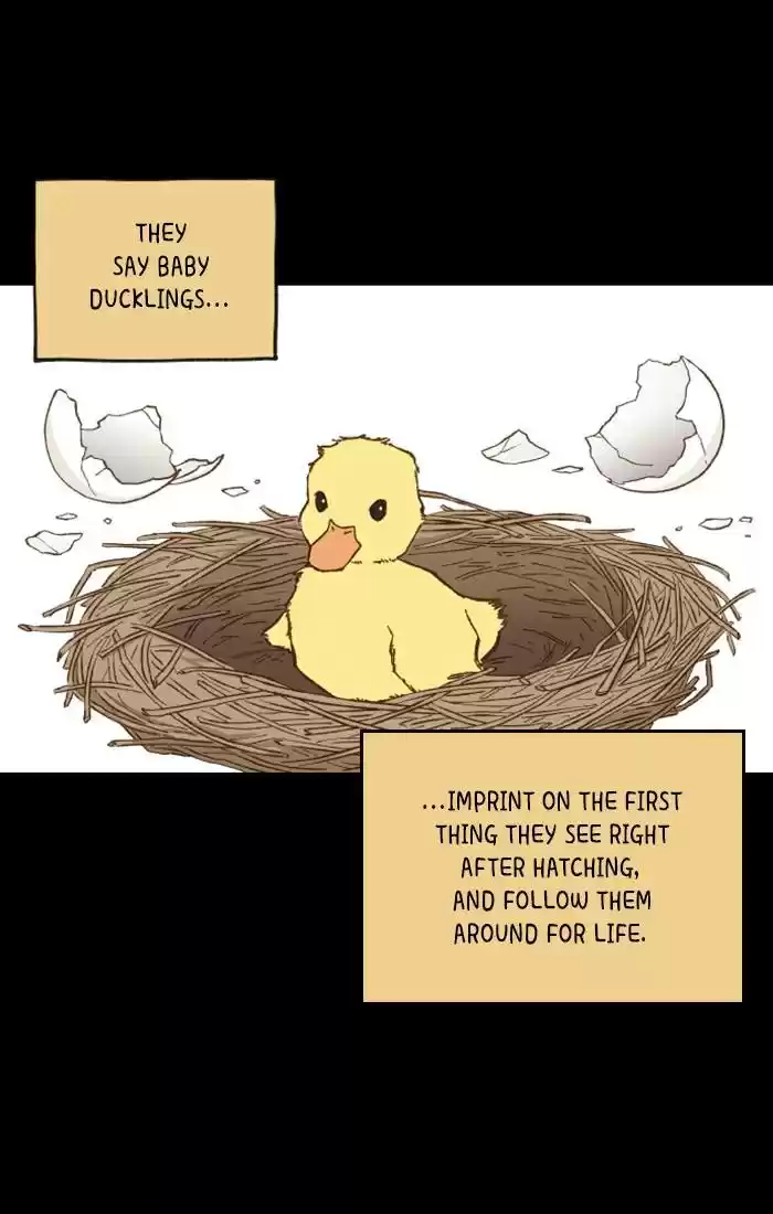 How To Become A Dragon Chapter 67