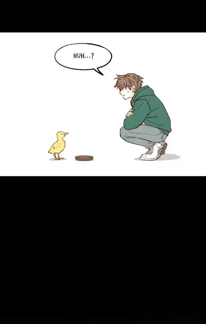 How To Become A Dragon Chapter 67